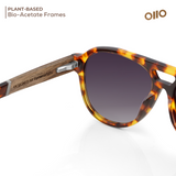Nara 楢 | OKNO Wooden - Eyewearlabs
